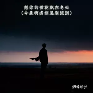 想你的雪花飘在冬天 (今生啊多相见别泪流)