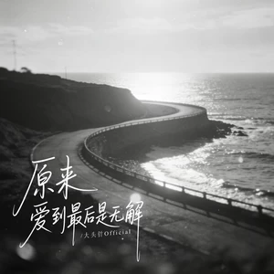 原来爱到最后是无解