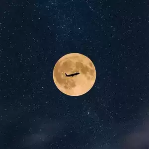 夜空中最亮的星(降调版)