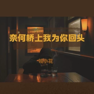 奈何桥上我为你回头