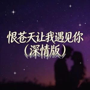 恨苍天让我遇见你(深情版)