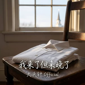 我来了但来晚了