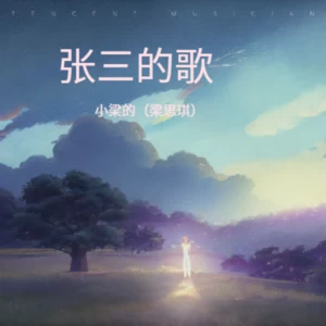 张三的歌（欢快版）