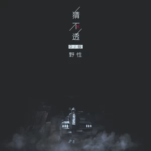 猜不透(DJ野性版)