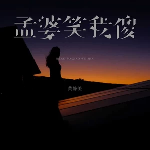 孟婆笑我傻(DJEva版)