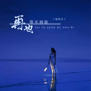 再也等不到你(DJ阿卓版)