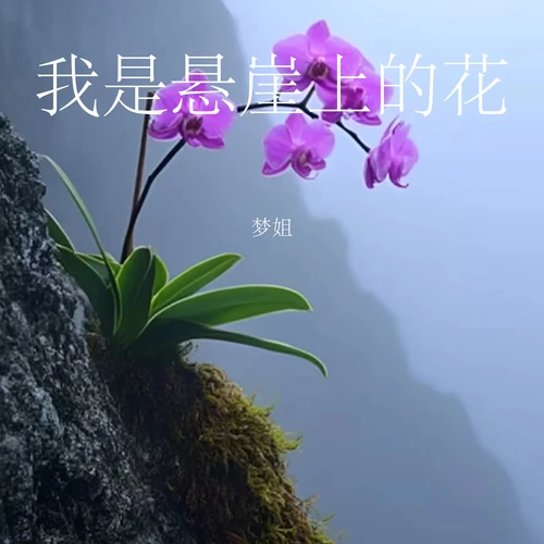 我是悬崖上的花