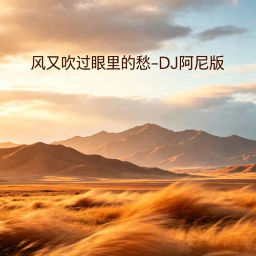 风又吹过眼里的愁(DJ阿尼版)