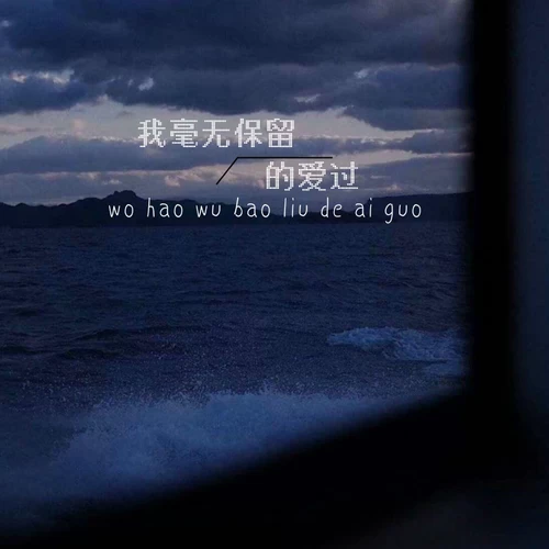 我毫无保留的爱过