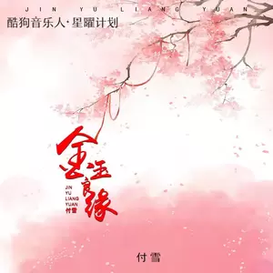 金玉良缘(DJR7版)