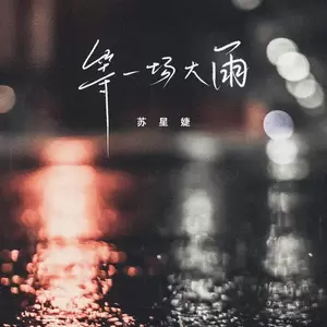 等一场大雨（DJ版）