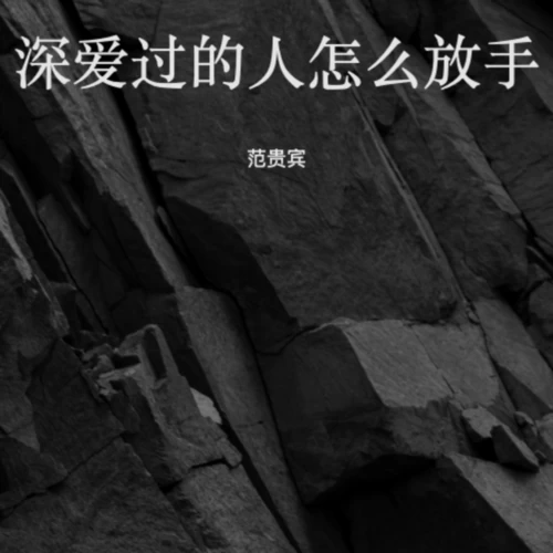 深爱过的人怎么放手(DJ河马版)