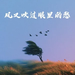 风又吹过眼里的愁(执着R&B)