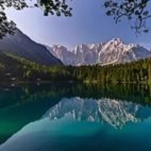 胆小鬼(深情男声)