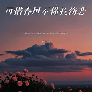 可惜春风不懂我伤悲
