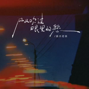 风又吹过眼里的愁(动感版)