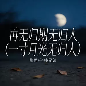 再无归期无归人 (一寸月光无归人)