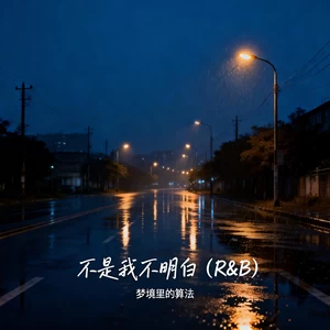 不是我不明白 (R&B)