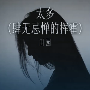 太多 (肆无忌惮的挥霍)