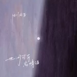 世间可有忘情酒（DJ版）