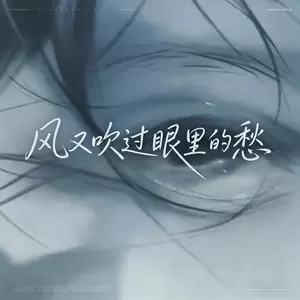 风又吹过眼里的愁(沧桑版)