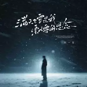 满天飞雪是我飘零的思念