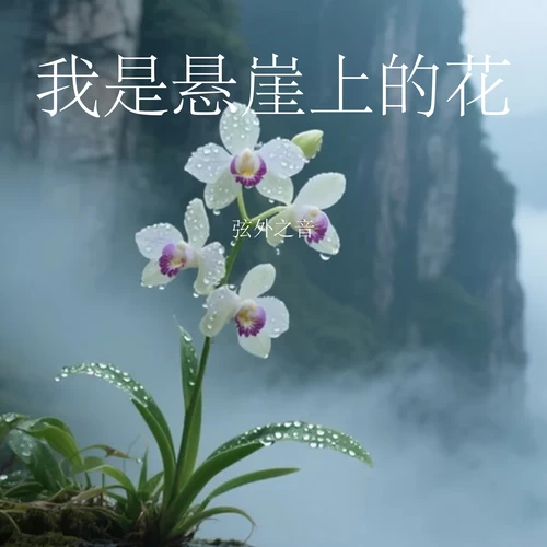 我是悬崖上的花