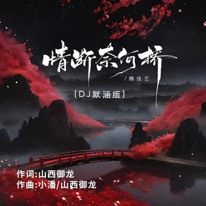 情断奈何桥（DJ默涵版）