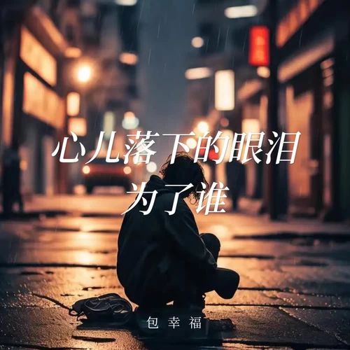 心儿落下的眼泪为了谁(女声版)