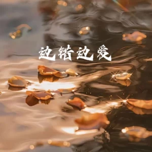 边错边爱(烟嗓版）