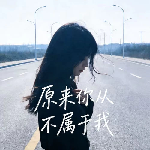 原来你从不属于我