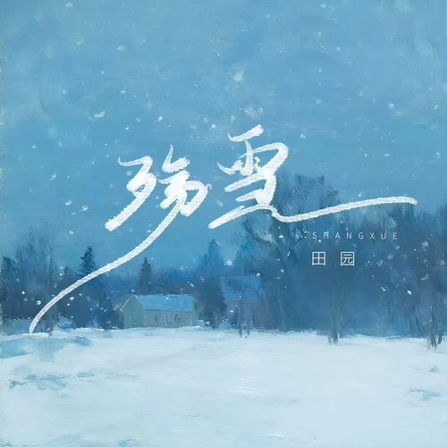 殇雪(DJ九零版)