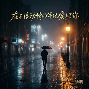 在不该动情的年纪爱上了你