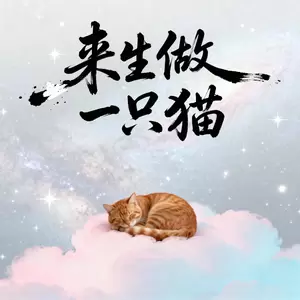 来生做一只猫