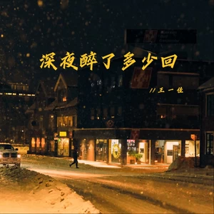 深夜醉了多少回（流了多少泪）