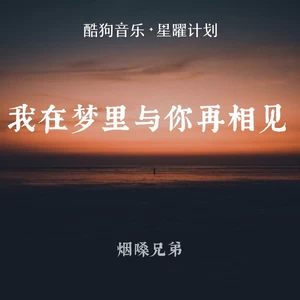 我在梦里与你再相见