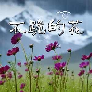 不跪的花(女版)